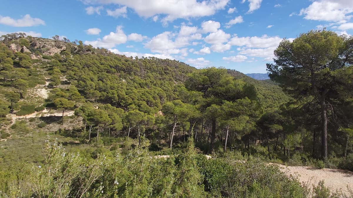 Ecologistas en Acción denuncia a diputados de PP y Vox en la Asamblea por prevaricación