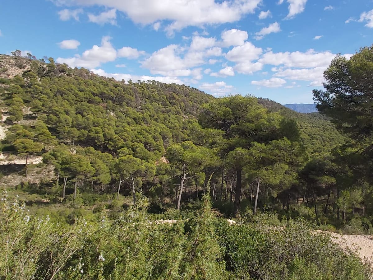 Ecologistas en Acción denuncia a diputados de PP y Vox en la Asamblea por prevaricación