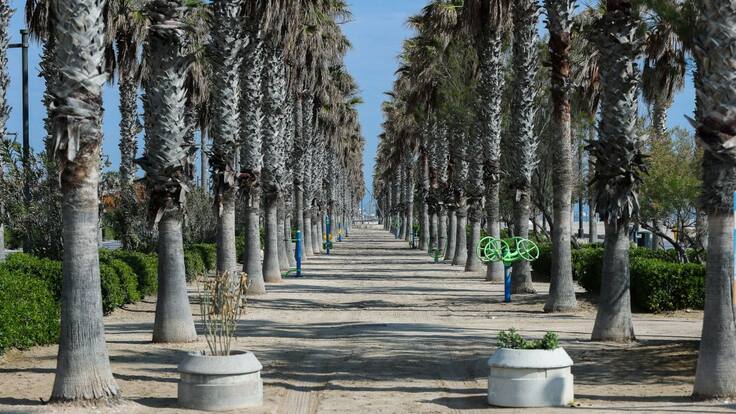 "Si se hace algún tipo de relajamiento, sería indispensable trazar contactos": la recomendación de una experta