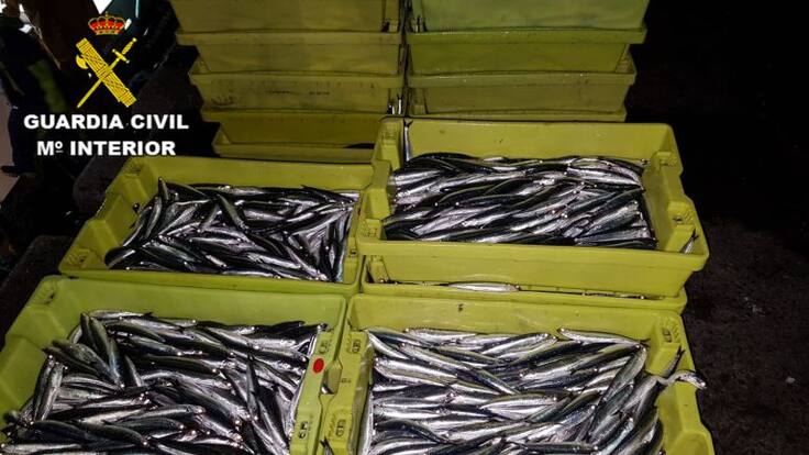 Pesca ilegal en Portonovo