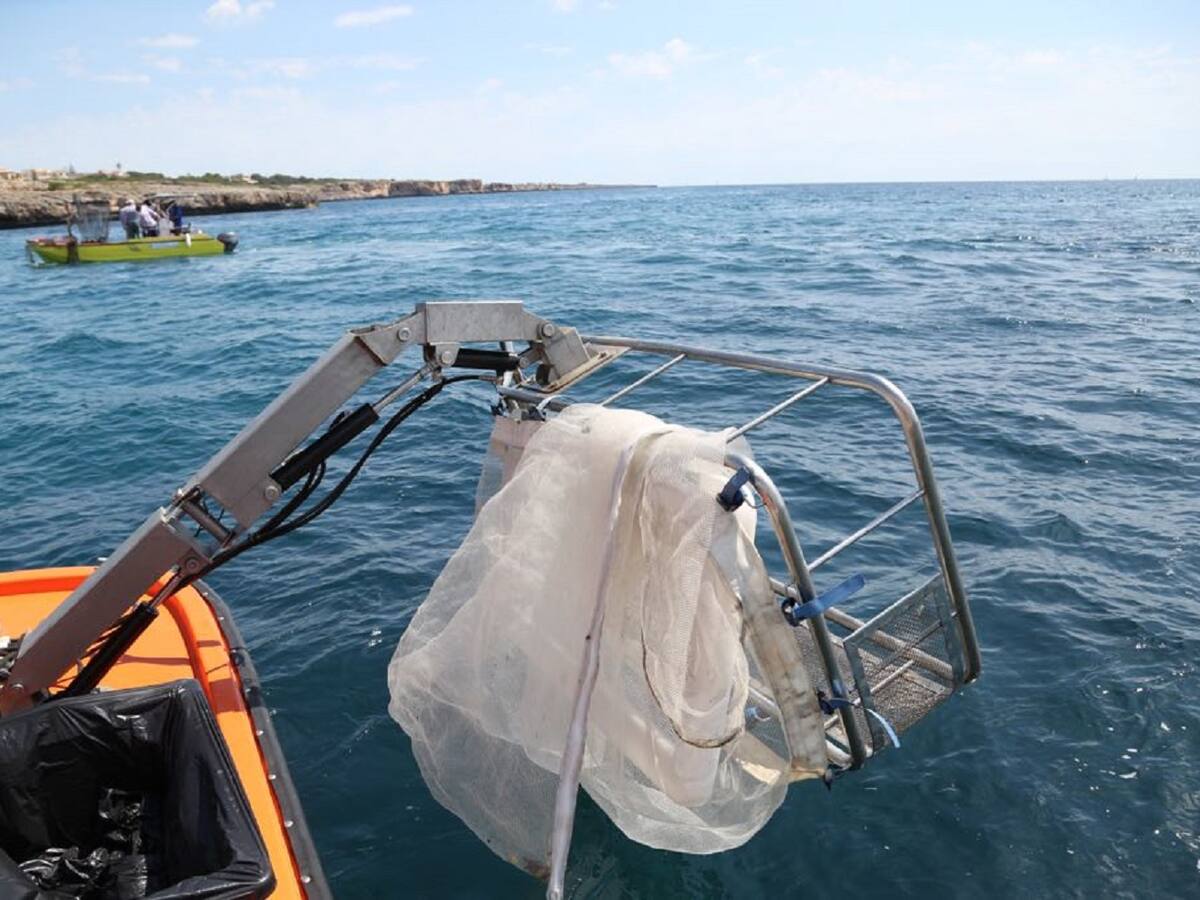 Más de 800 kilos de residuos se han retirado del litoral pitiuso en septiembre