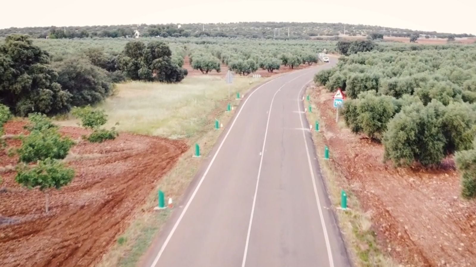 Imagen aérea de las balizas antifauna en una carretera de un carril por sentido