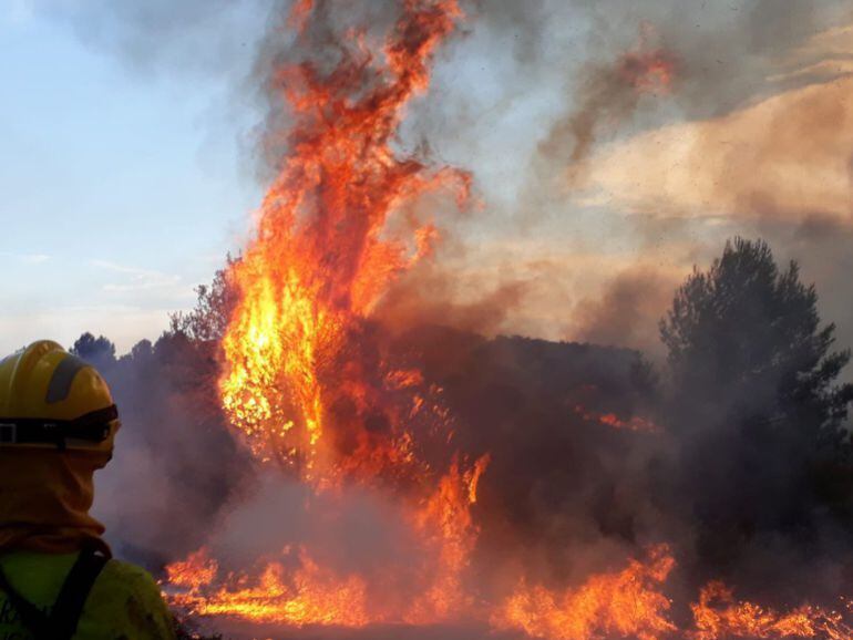 Incendio de Llutxent