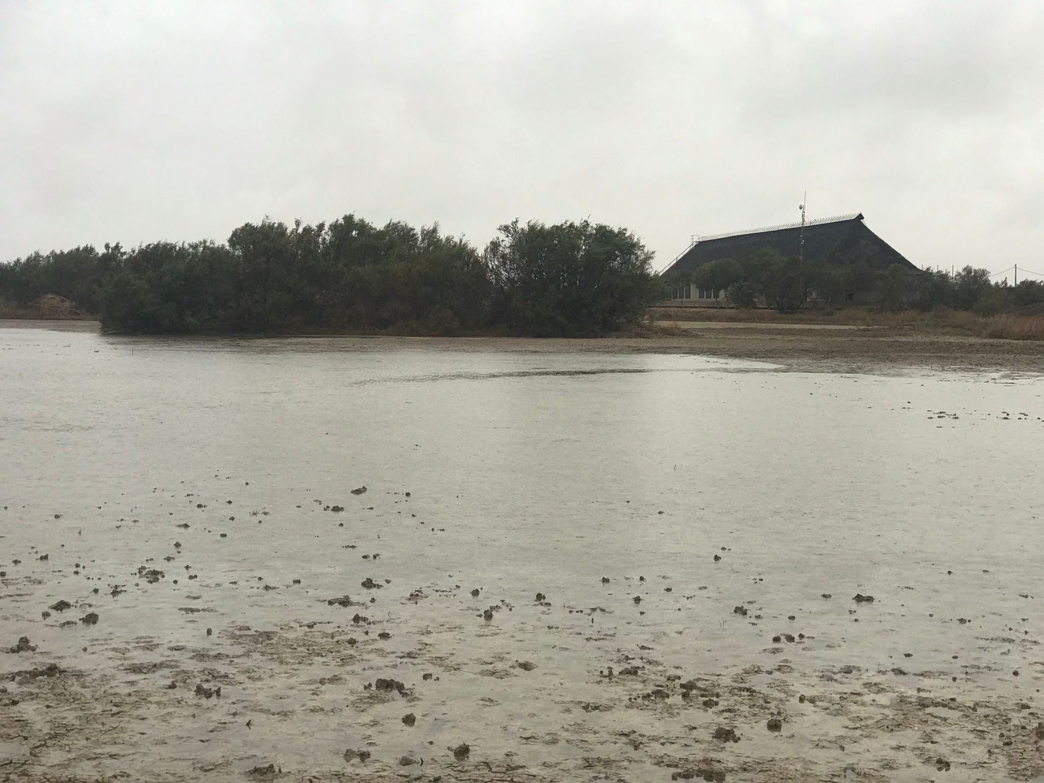 Laguna Centro Visitantes José Antonio Valverde (Doñana) (Foto del Espacio Natural en Facebook)