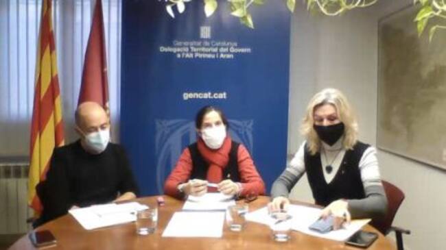 Captura de la roda de premsa telemàtica que ha fet avui 10 de Desembre, el departament de Salut, amb DIvina Farreny al centre, després de la intervenció de la gestió del centre el passat 28 de Novembre