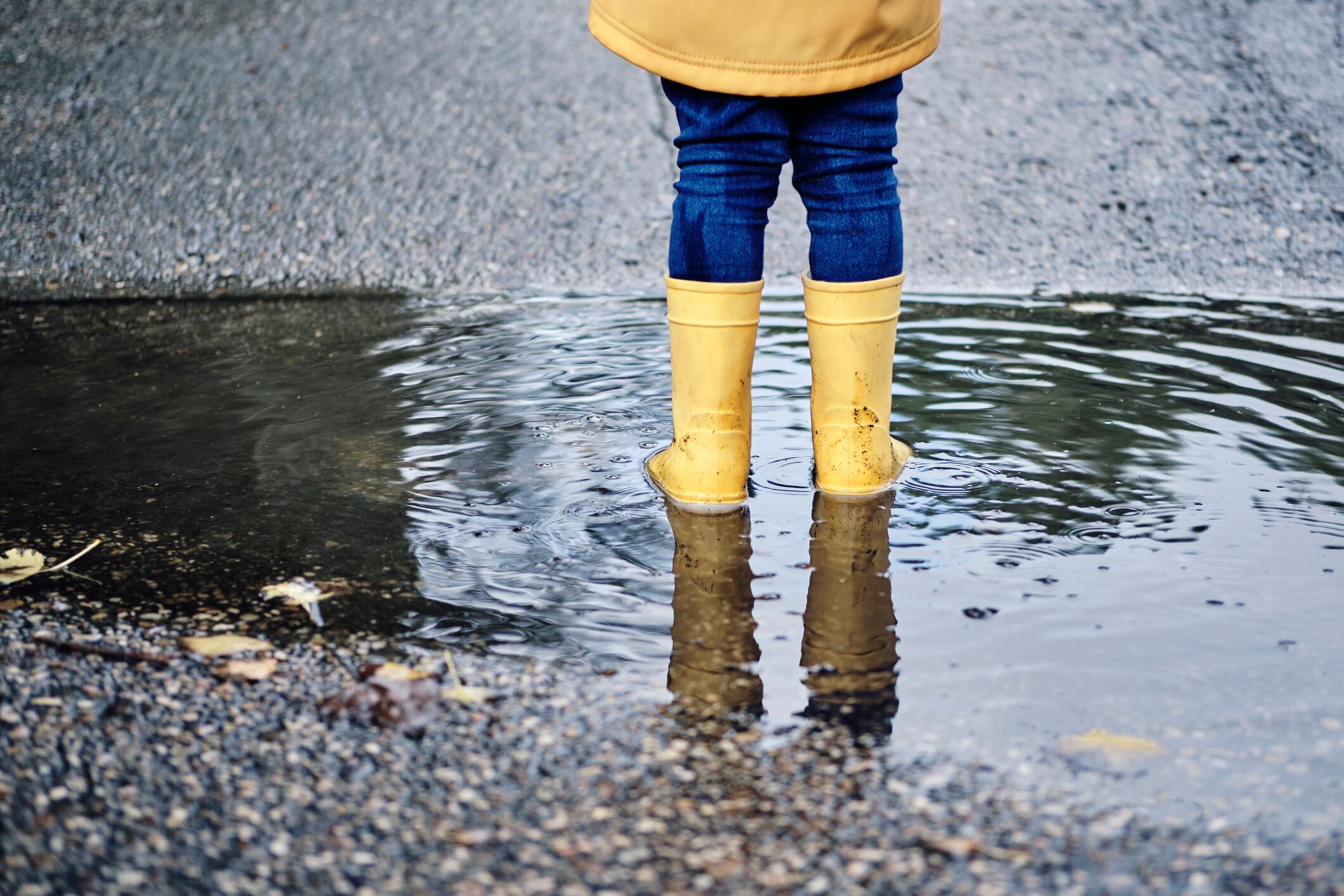 Las lluvias podrán ser moderadas en La Palma, Tenerife y Gran Canaria.