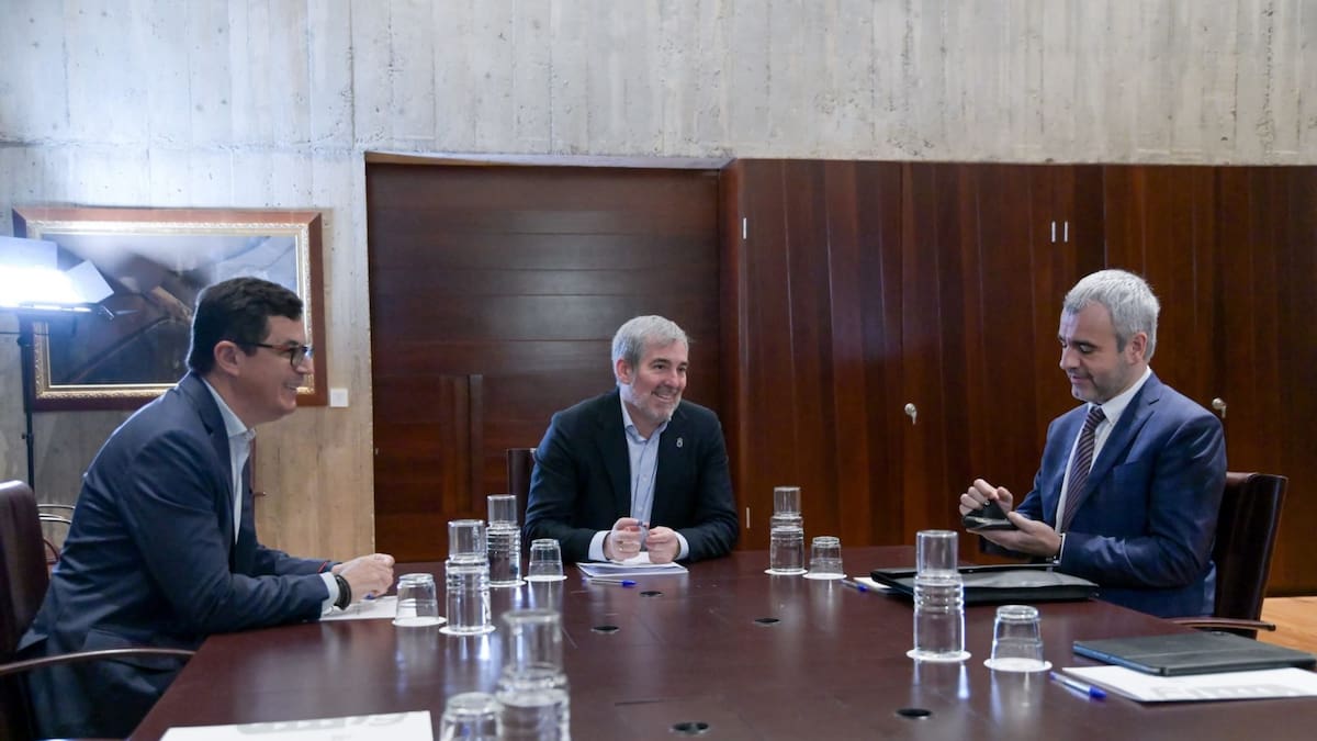 Una respuesta de Maurici Lucena poco democrática según el Gobierno de Canarias