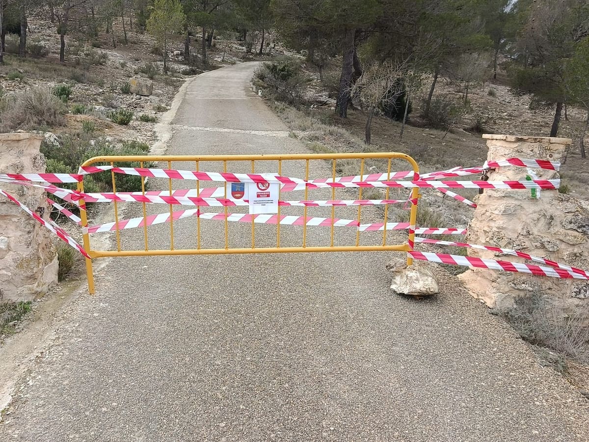 Comienza una campaña de tratamiento contra la procesionaria del pino en El Camp de Mirra