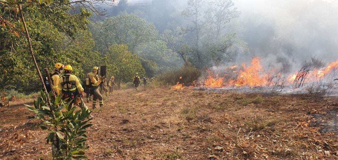 Los bomberos forestales actúan en Trabadelo