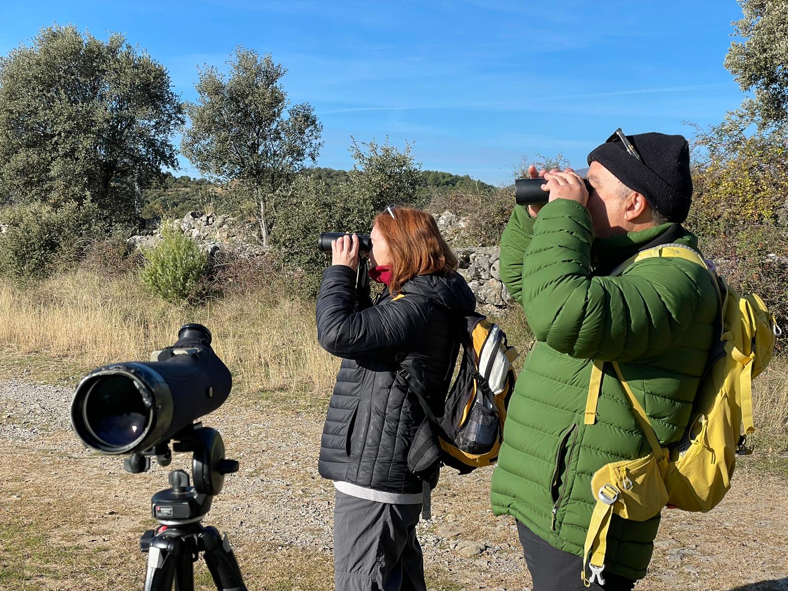 Visitantes de establecimientos enmarcados en Turismo verde Huesca