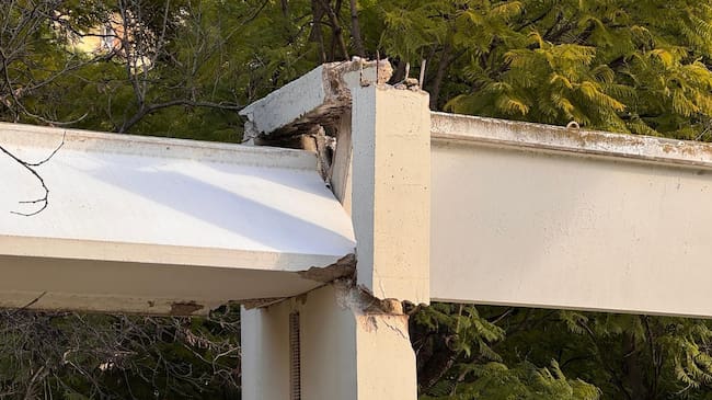 Desperfectos en el Jardín del Turia