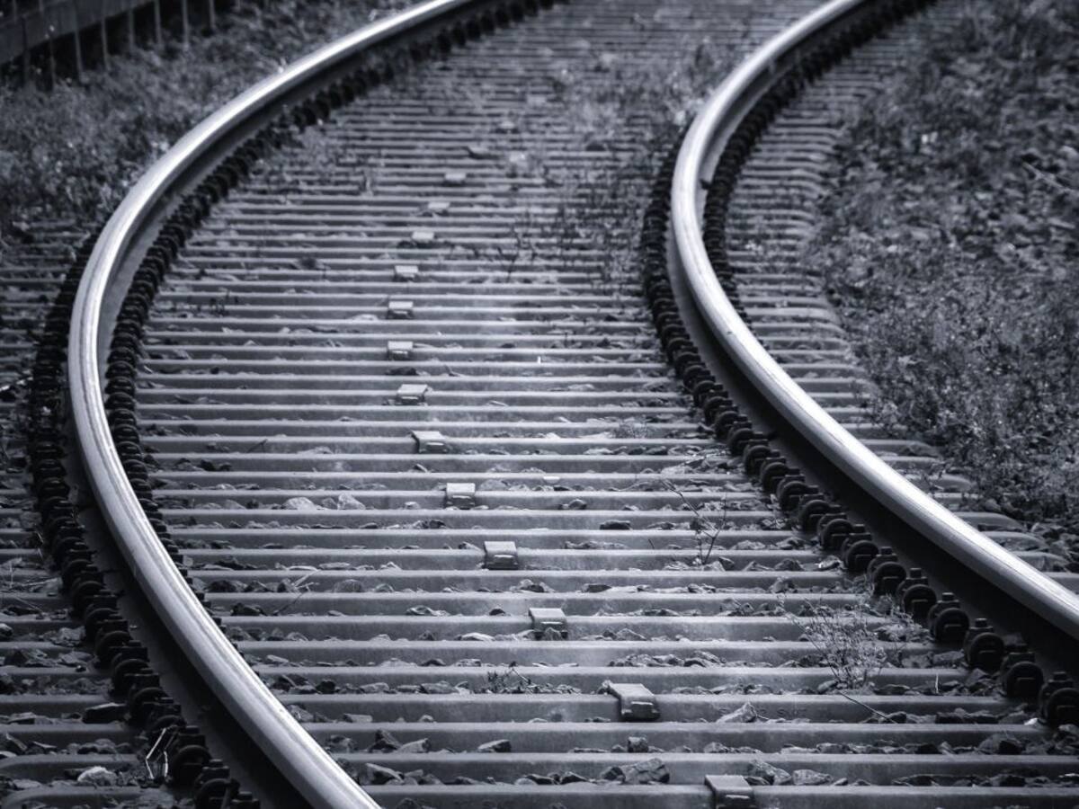 Rechazo unánime de los grupos políticos al cierre de las taquillas de tren