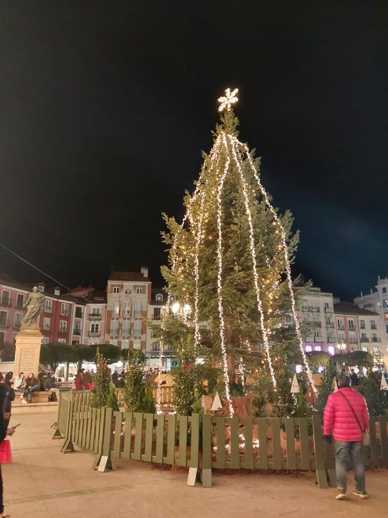 El árbol de Navidad que ha decorado la Plaza Mayor de Burgos causó mofa en la redes sociales, según el PSOE