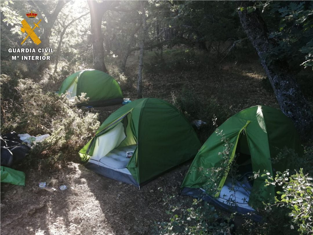 Los detenidos vivían en tiendas de campaña anexas a la plantación, de esta manera tenían vigilada constantemente la marihuana