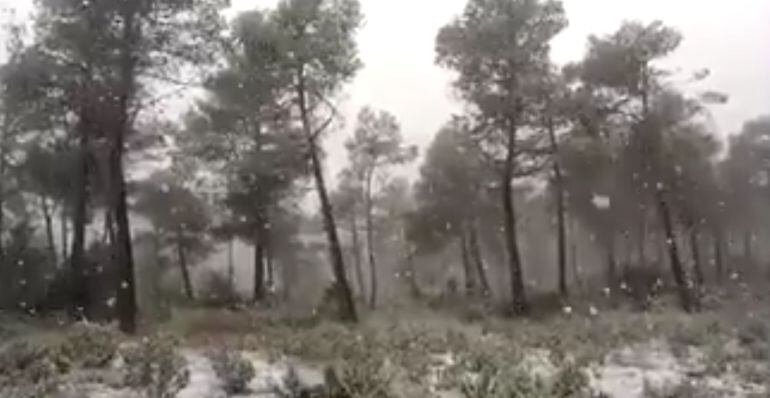 Imagen de la nieve que ha caído este martes en Almansa