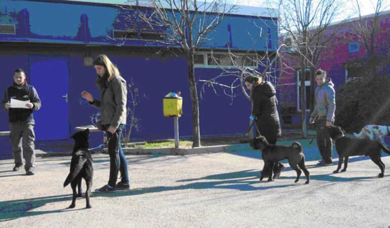La actividad se desarrolla durante este último trimestre de curso escolar