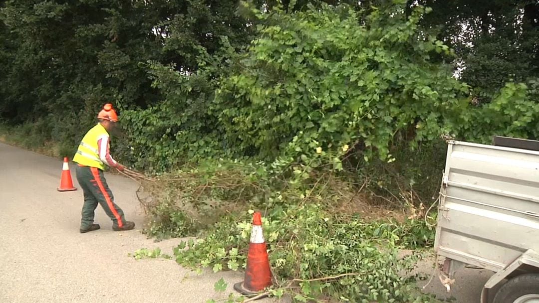 Limpieza de las cunetas en los caminos rurales de Andújar