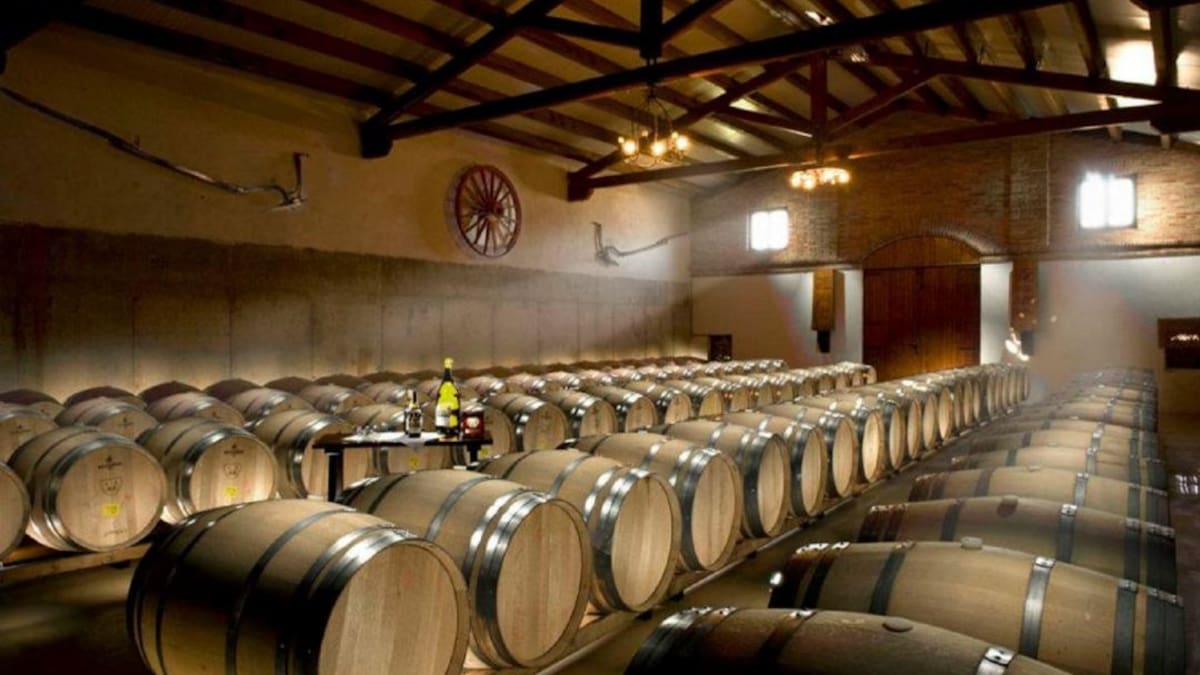 La Ventana de Navarra (28/04/2021)