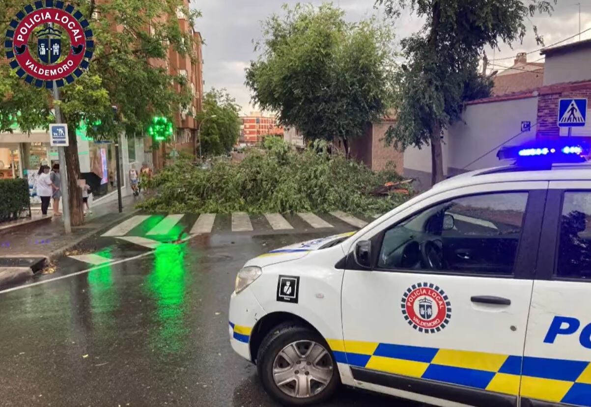 Ninguna de las ramas caídas ha causado daños personales en Valdemoro