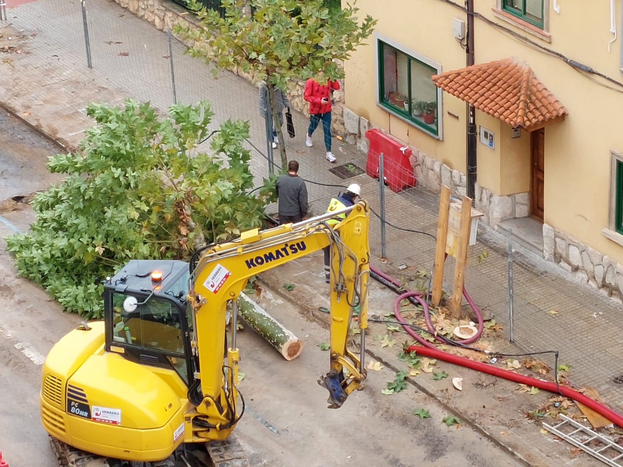 Tala de árboles en la Avenida Castilla