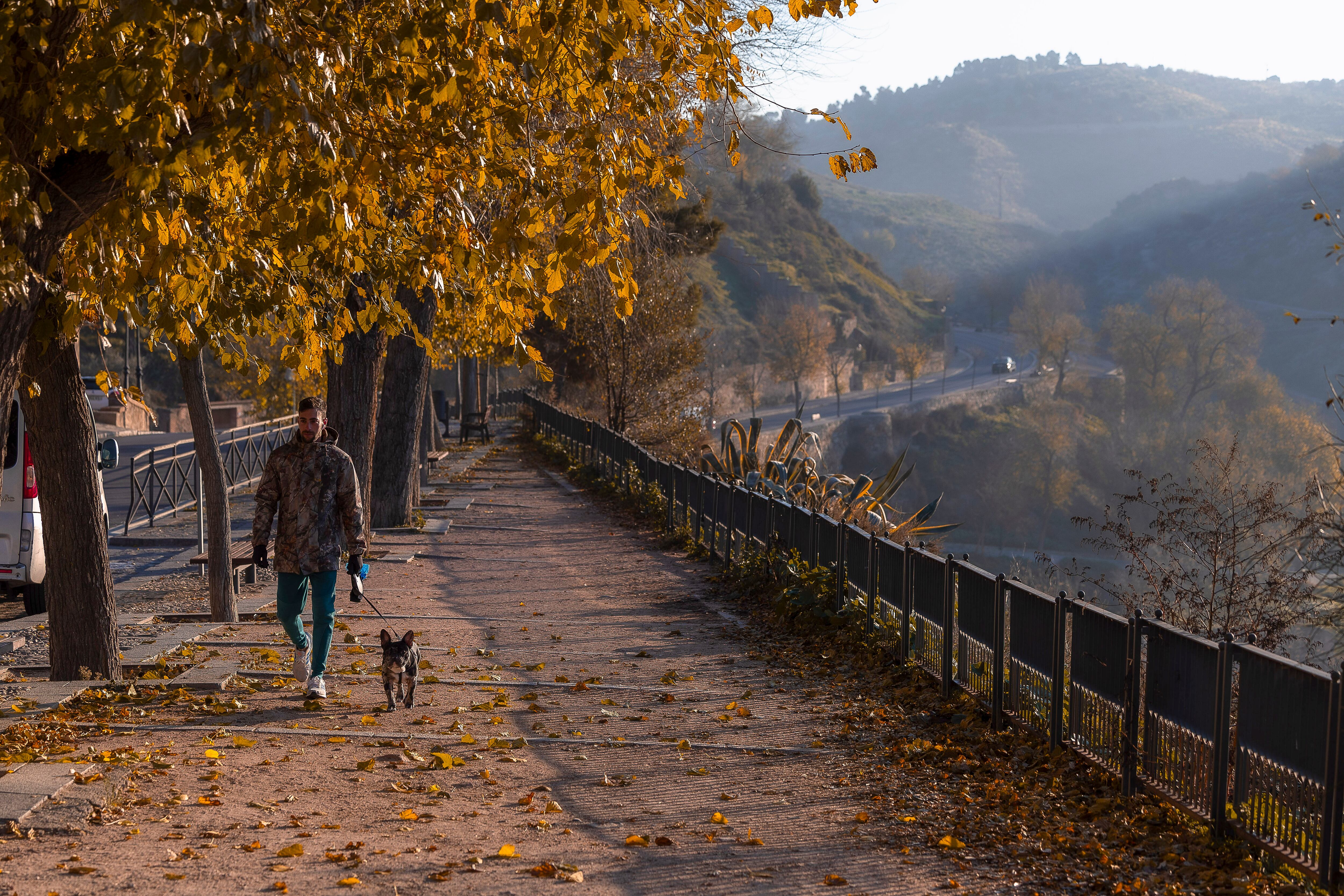 Un hombre pasea con su perro en Toledo.