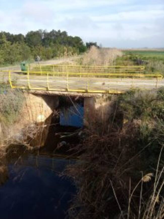 Acequia de Rey. Villena