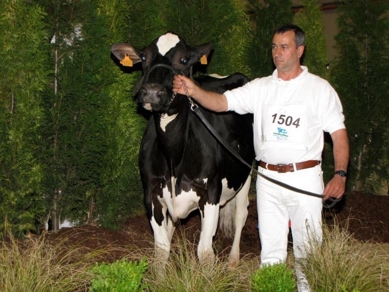 José Ángel Blanco Purriños, presidente de Irmandiños