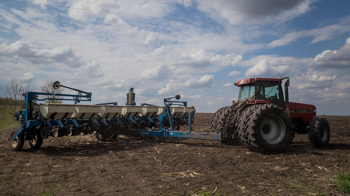 Los juegos del hambre