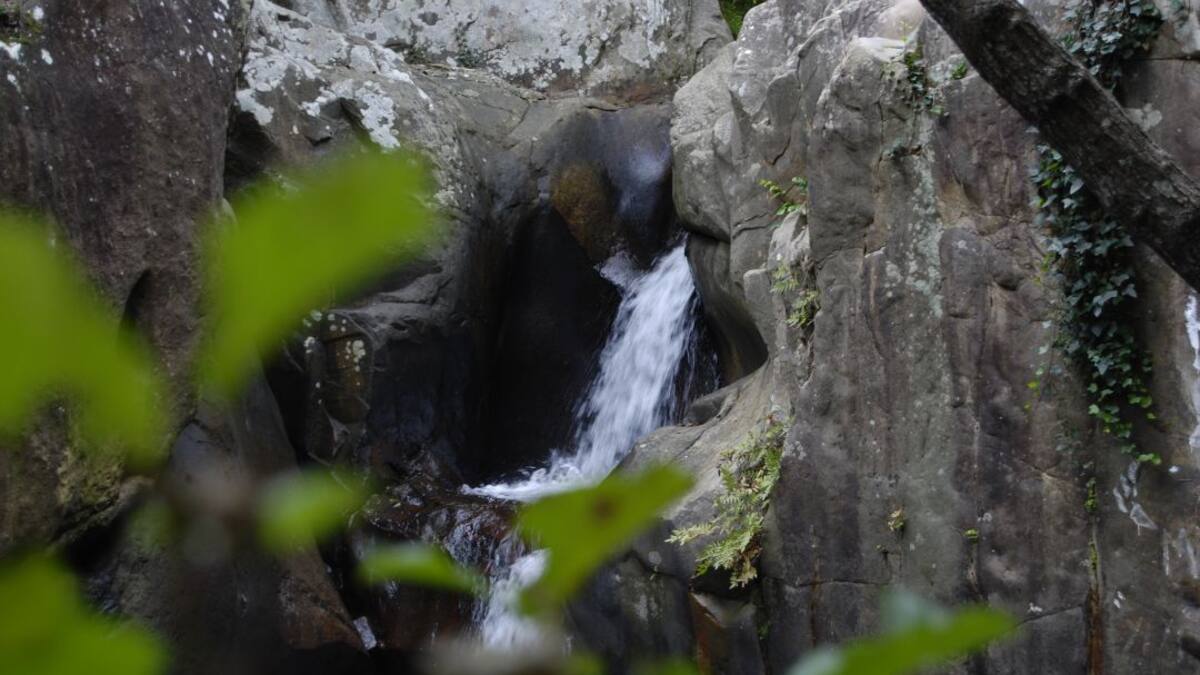 Verdemar propone la recuperación del Río de la Miel