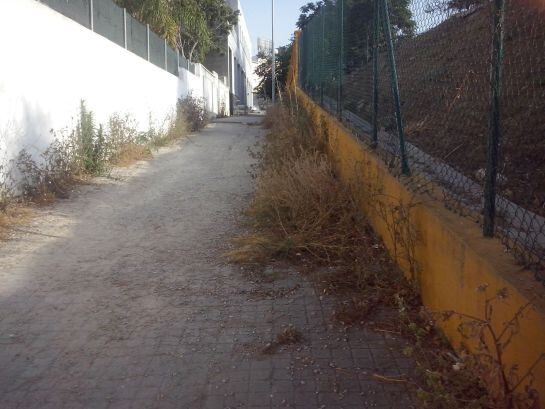 Lamentable estado en que se encuentra la calle que da acceso al centro de salud de San José Artesano y al colegio San Bernardo.