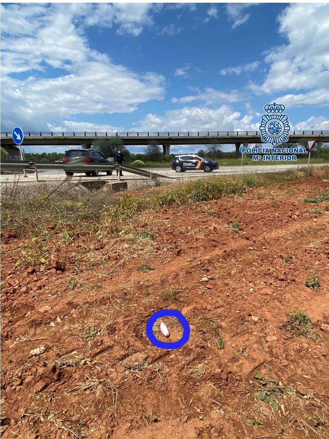 Droga arrojada en un control policial en Linares. 