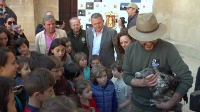 Biosfera fue presentado el pasado 14 de mayo en Cazorla para su liberación en el P.N. de Cazorla, Segura y las Villas.