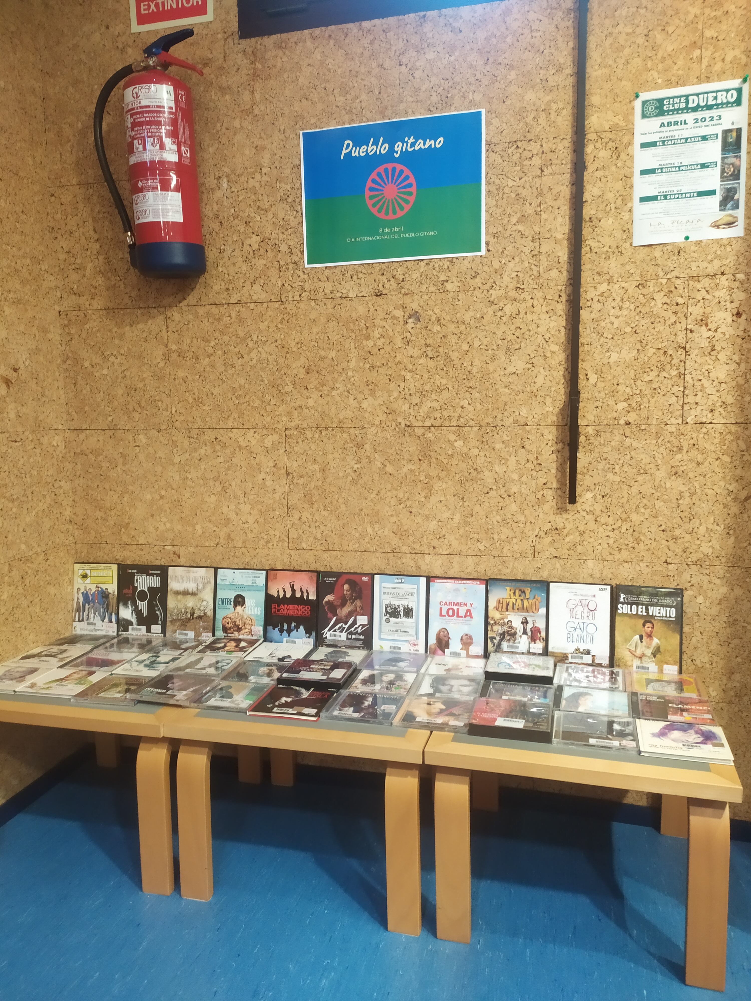 La Biblioteca de Aranda ha seleccionado de su fondo documental una serie de materiales relacionados con la historia del Pueblo Gitano