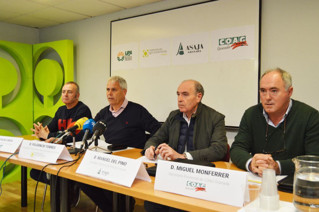 Los líderes provinciales de UPA, Cooperativas Agro-alimentarias de Granada, Asaja y COAG presentan las movilizaciones del campo granadino