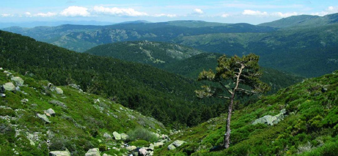 6 millones para la conservación de espacios naturales madrileños