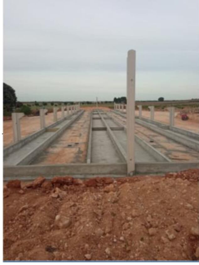 Una granja porcina pone en alerta a Ecologistas en Acción en La Manchuela