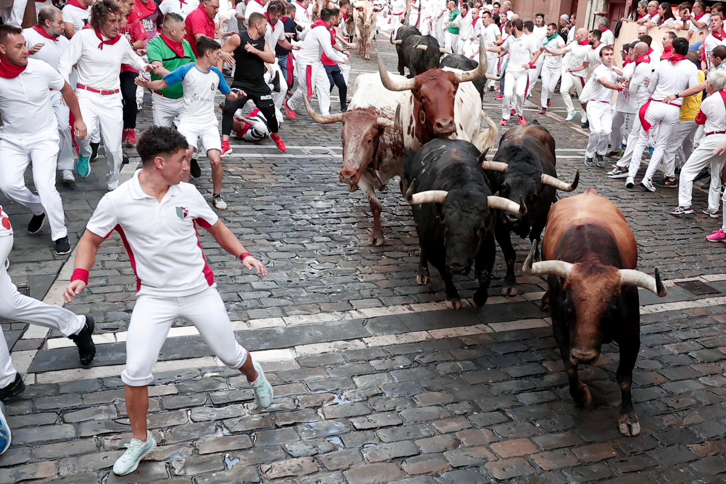 Los toros de la ganadería de Fuente Ymbro entran en la curva de Mercaderes en el cuarto encierro de los Sanfermines de 2024