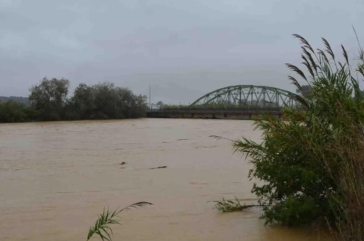 Río Guadalhorce a su paso por Cártama