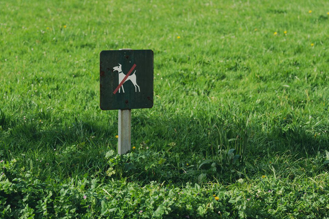 Imagen de archivo de la prohibición de entrada de mascotas a un parque 