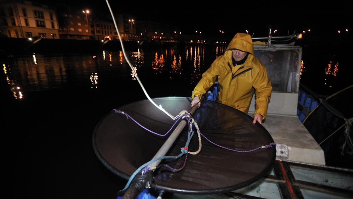 Pesca de angulas desde embarcación/IREKIA