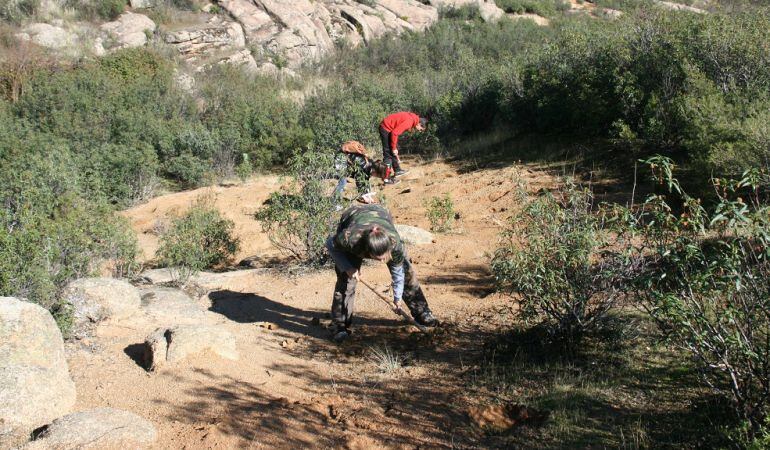 Reforesta trabajo en la conservación de 32 hectáreas durante este 2015, Año Internacional de los Suelos