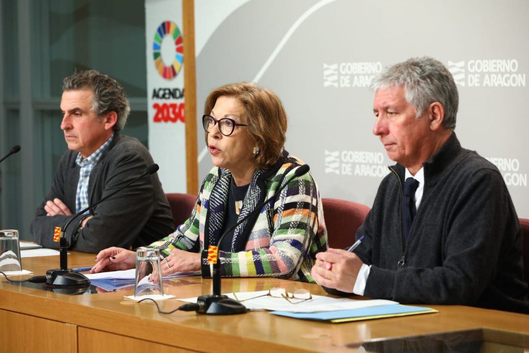La consejera de Sanidad, Pilar Ventura, durante la rueda de prensa para explicar el primer caso de coronavirus en Aragón 