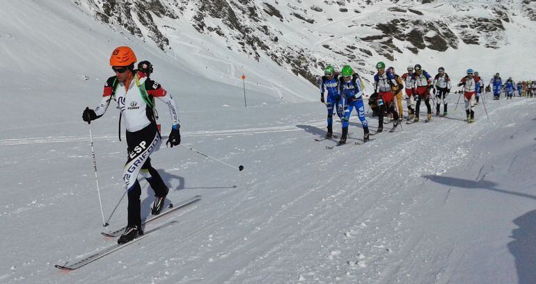 Imatge de l'Skimo 2015.