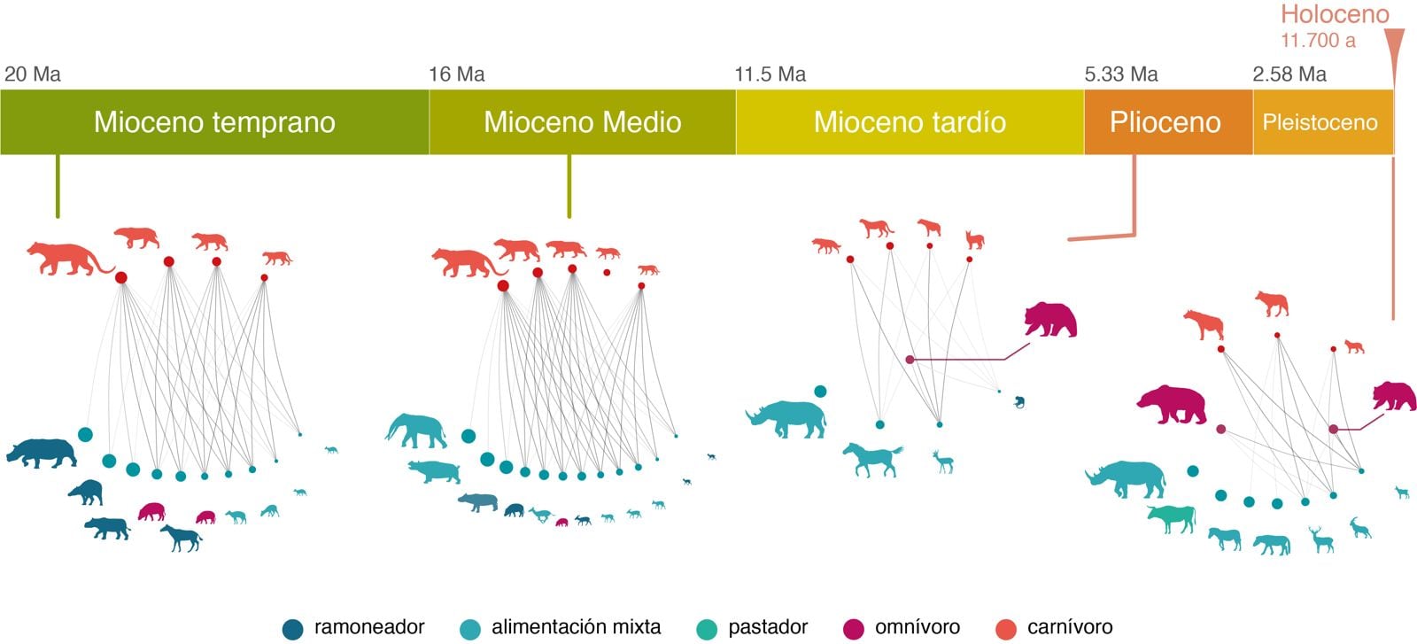 Evolución de la conectividad de las redes tróficas en la Península Ibérica durante los últimos 20 millones de años (Ma). Modificado de Nascimento et al. 2024.