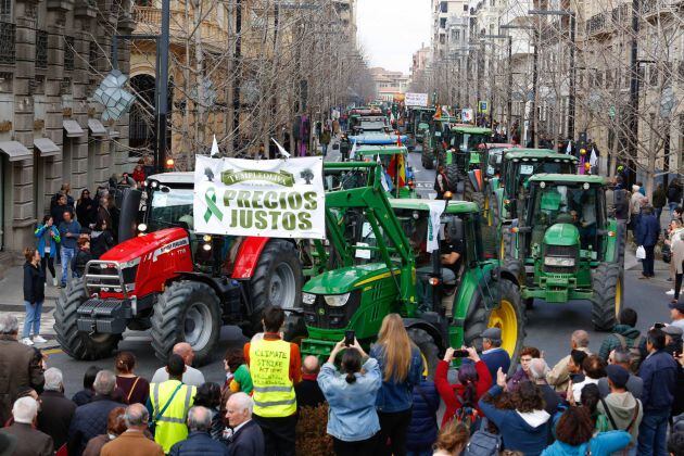 Un grupo de unos 300 manifestantes se ha desviado del itinerario de la tractorada convocada por organizaciones agrarias y ganaderas en protesta por la crisis del sector primario y ha cortado el tráfico en Camino de Ronda a la altura de Recogidas, en el centro de Granada capital