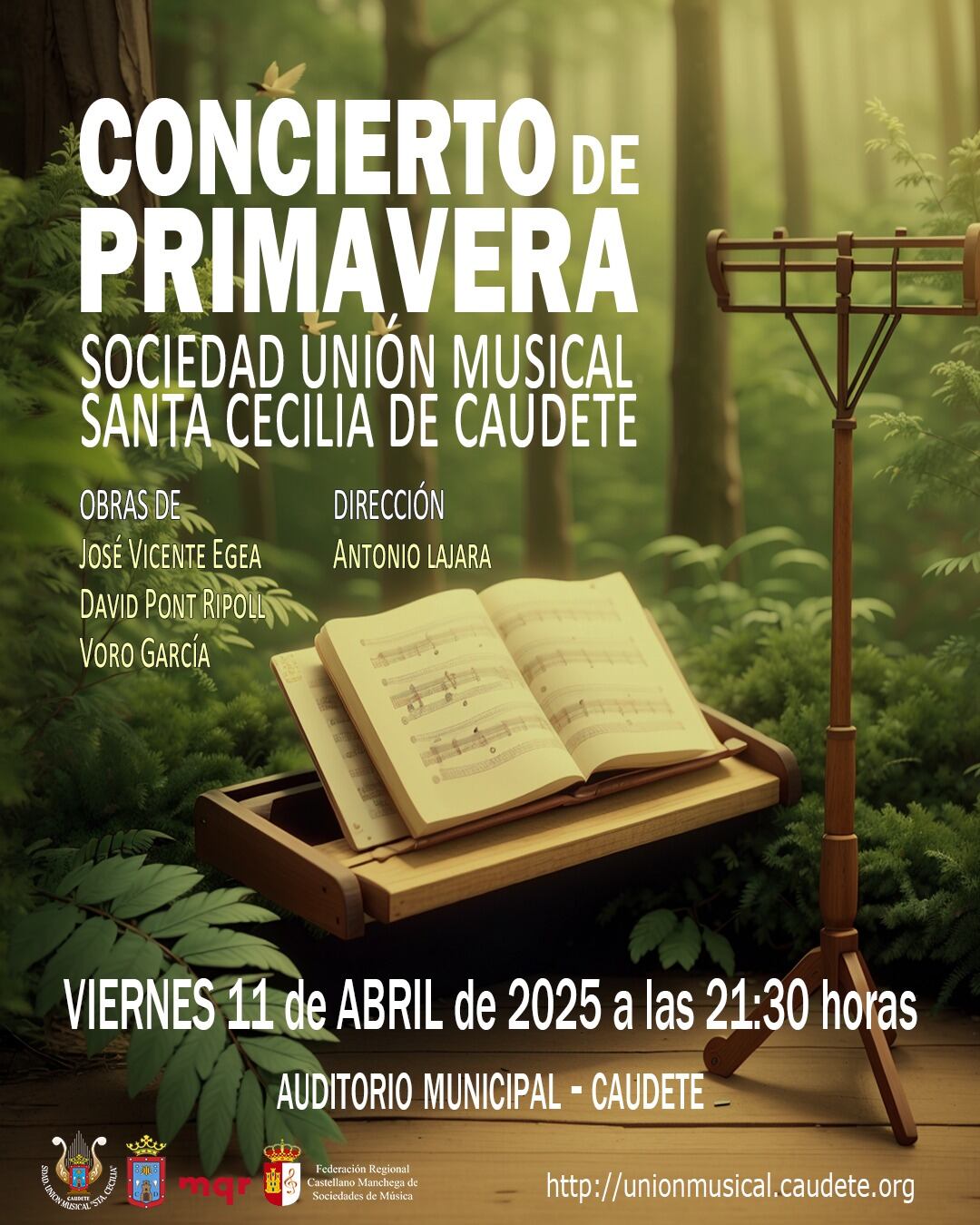 Cartel del concierto