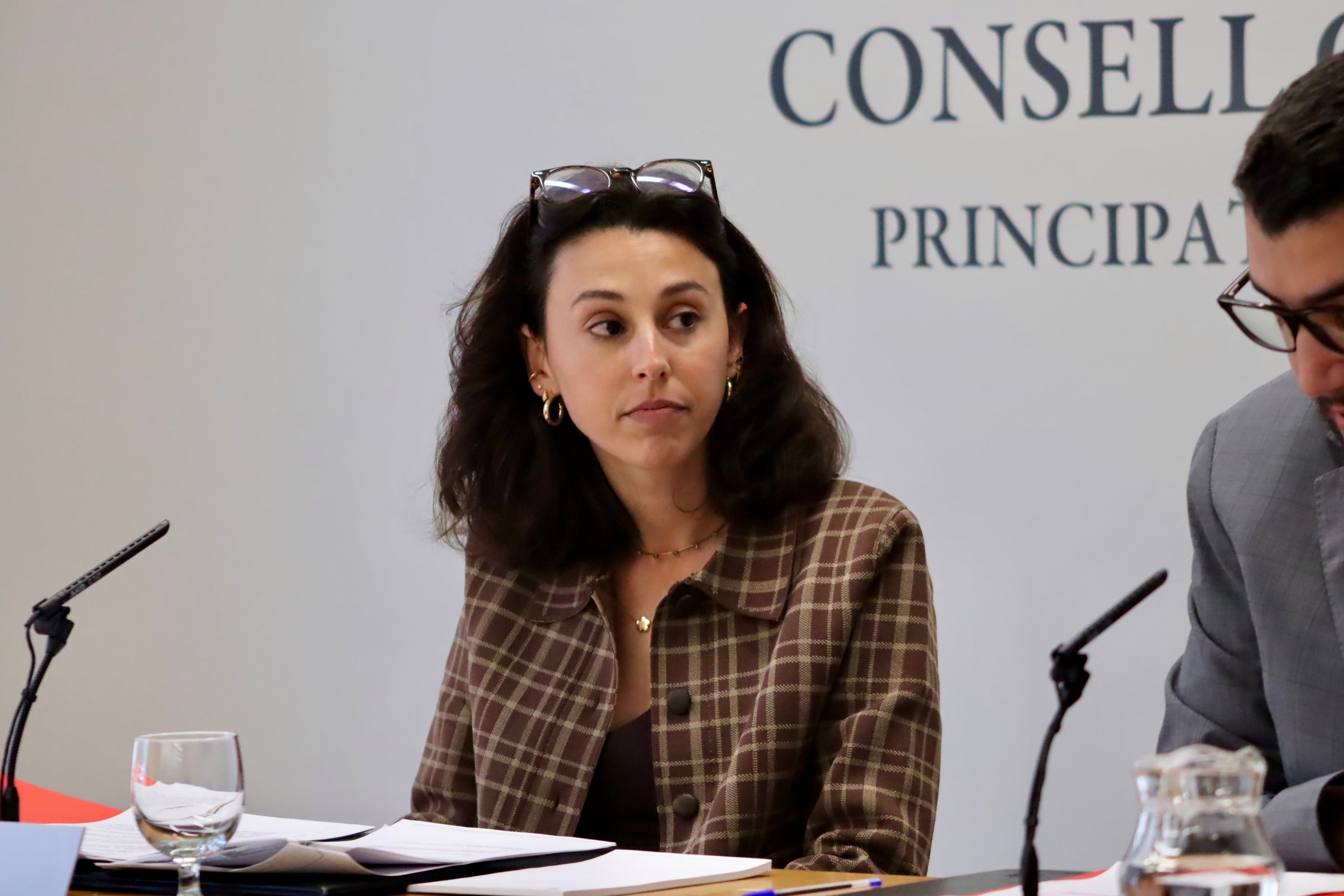 La consellera general del grup parlamentari socialdemòcrata, Laia Moliné