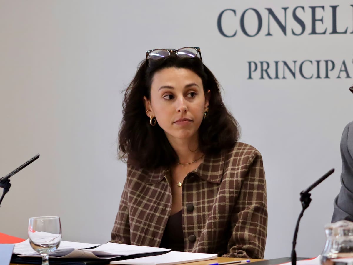 El PS aposta per la corresponsabilitat perquè els menors no accedeixin a continguts que els són perjudicials