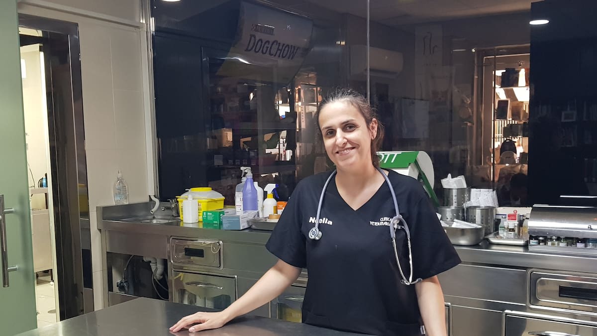 La inflación deja a las mascotas de Málaga en la cuneta