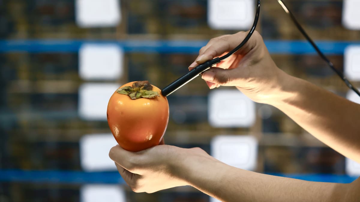 Joaquín Maudos, director adjunto del Ivie y catedrático de la Universidad de Valencia